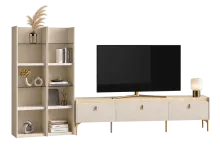 tv ünite