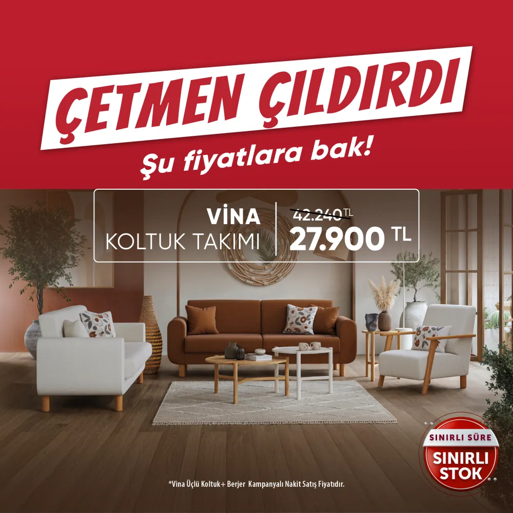 vina koltuk takımı